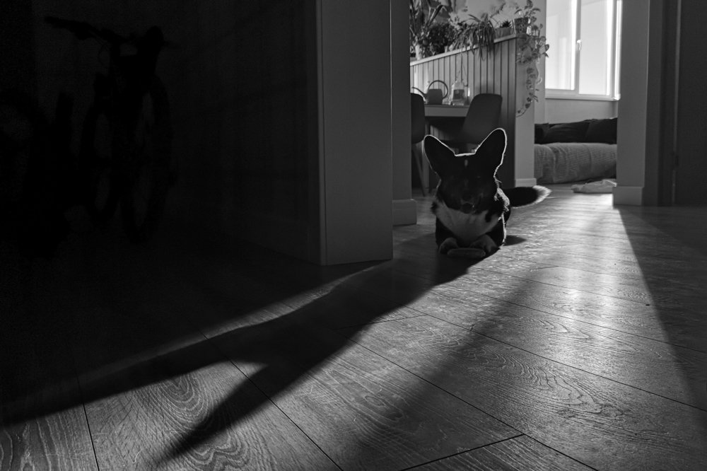 Photograph by Оксана Борщ