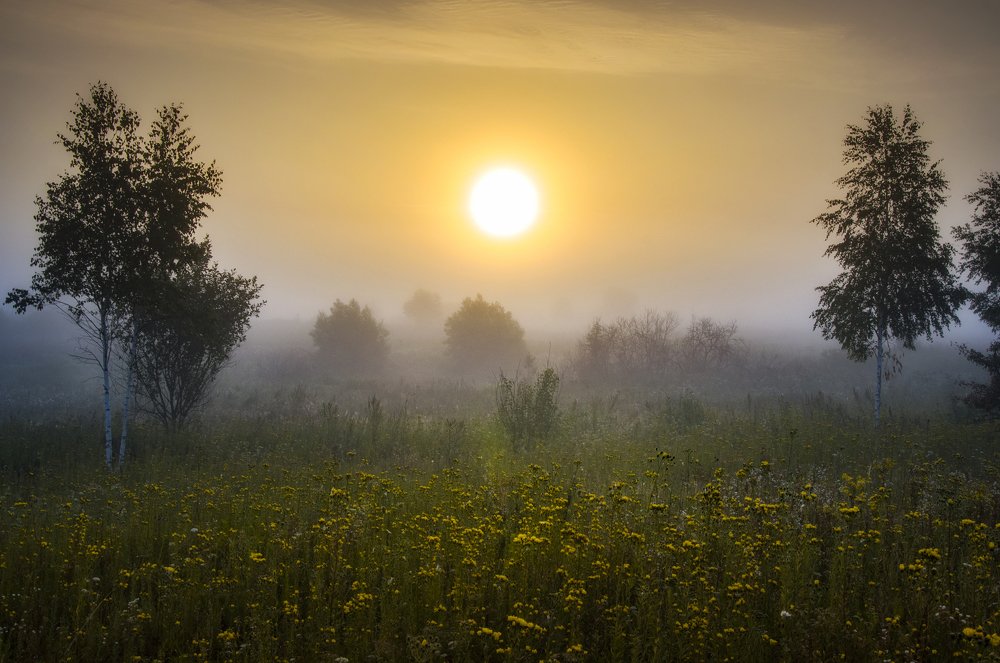 Рассветный туман