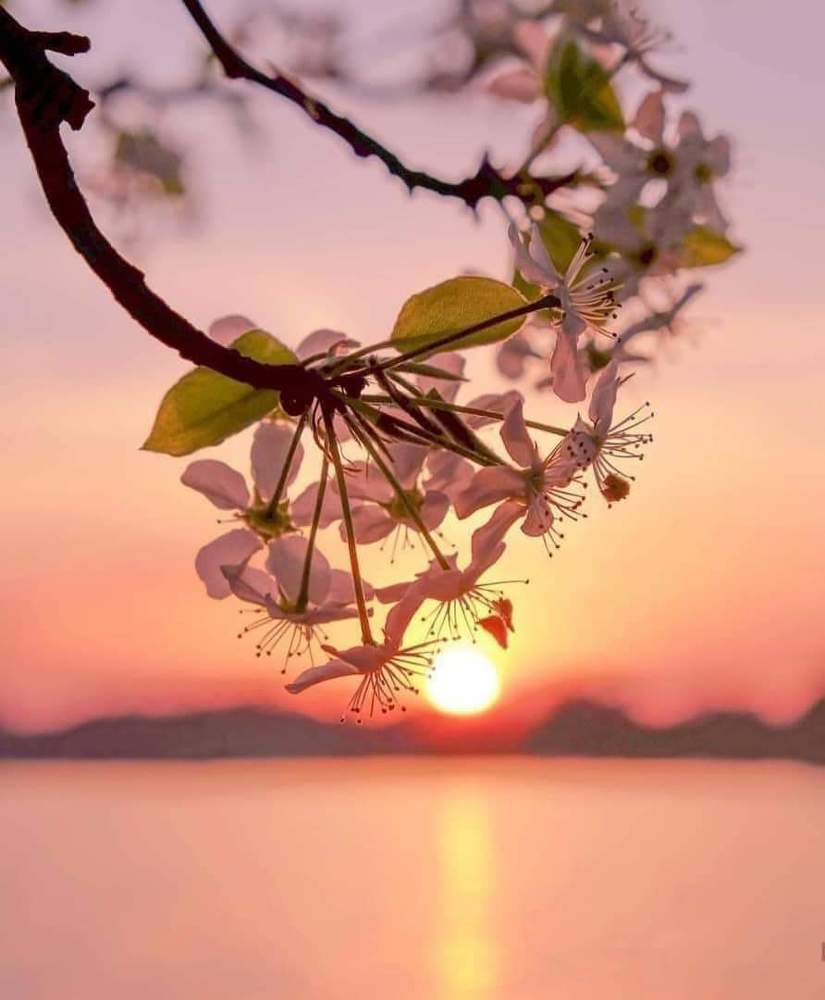 Photograph by bessem hattab