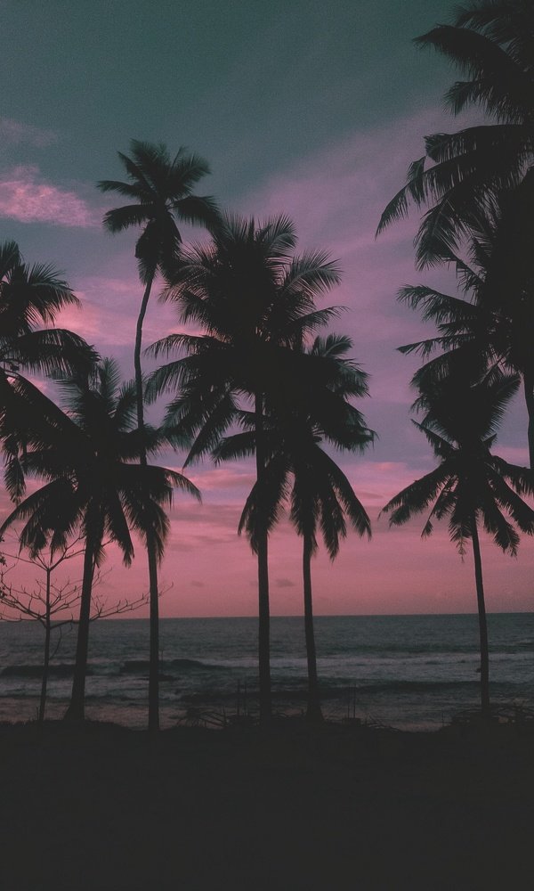 Photograph by Rain