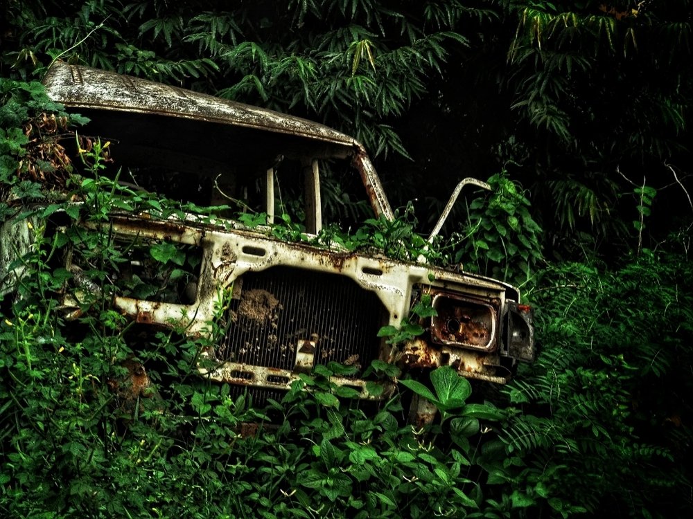 Photograph by Ramakrishnan Varun