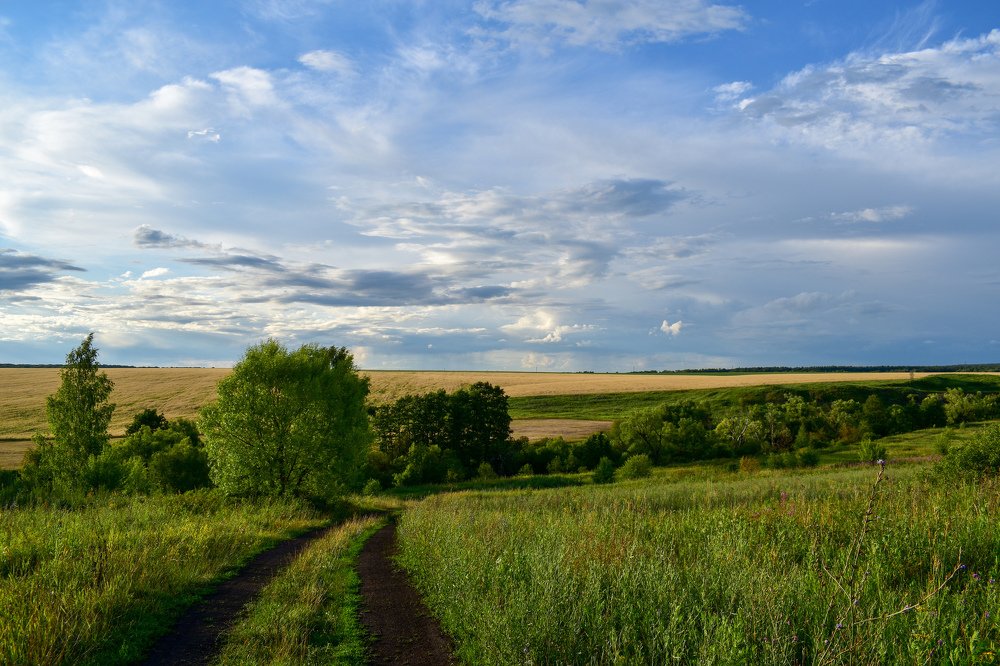 Летний день