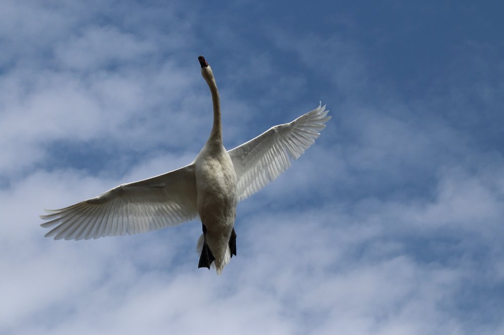 Photograph by Анастасия Корнеева