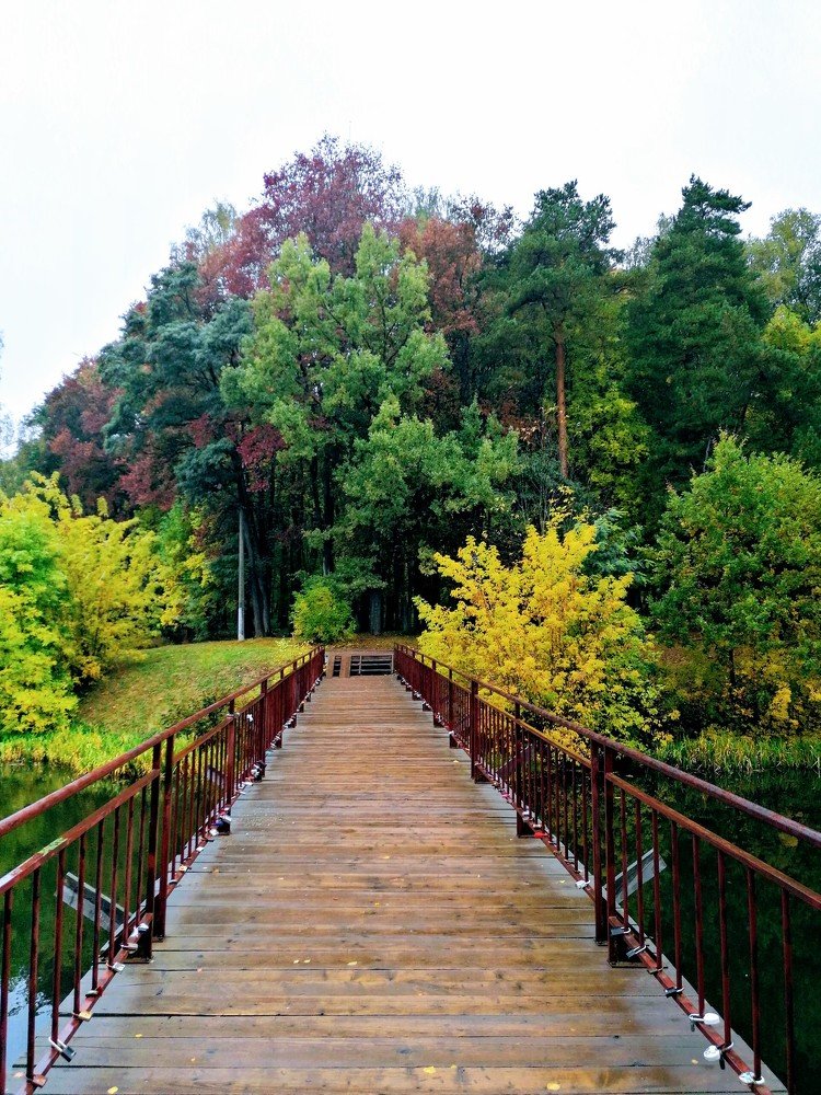 Photograph by Михаил Бородкин