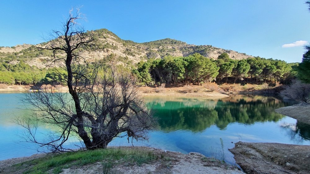 Photograph by Юлия Волженина