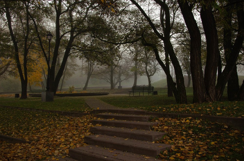 Photograph by Фролкова Елена