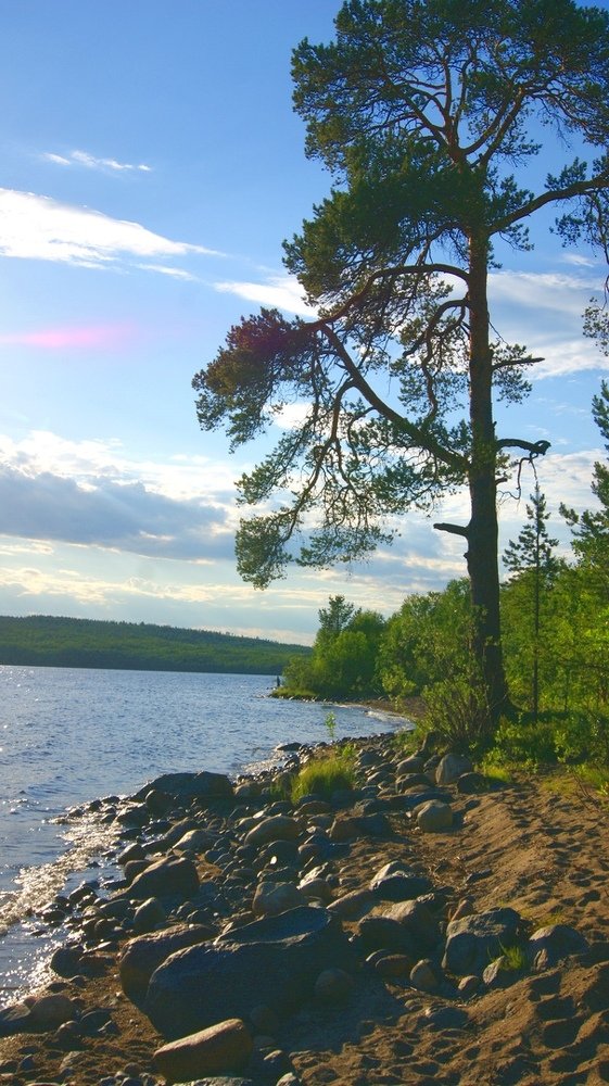 Photograph by Алина Доронина