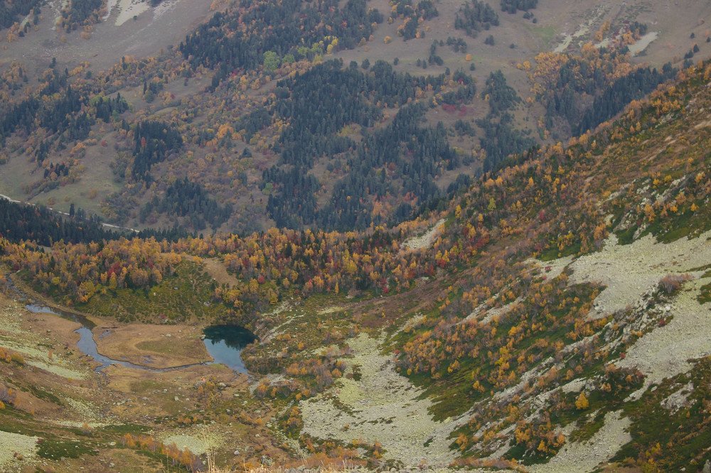 Photograph by Александр Афанасьев