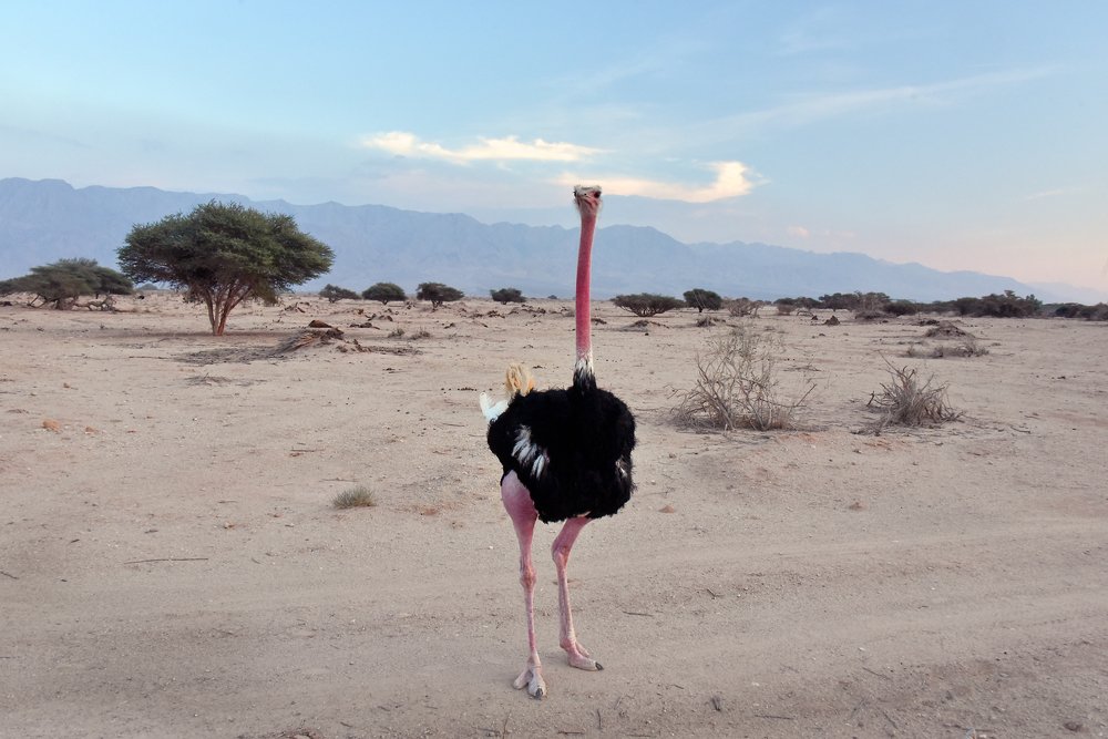 Одиночество