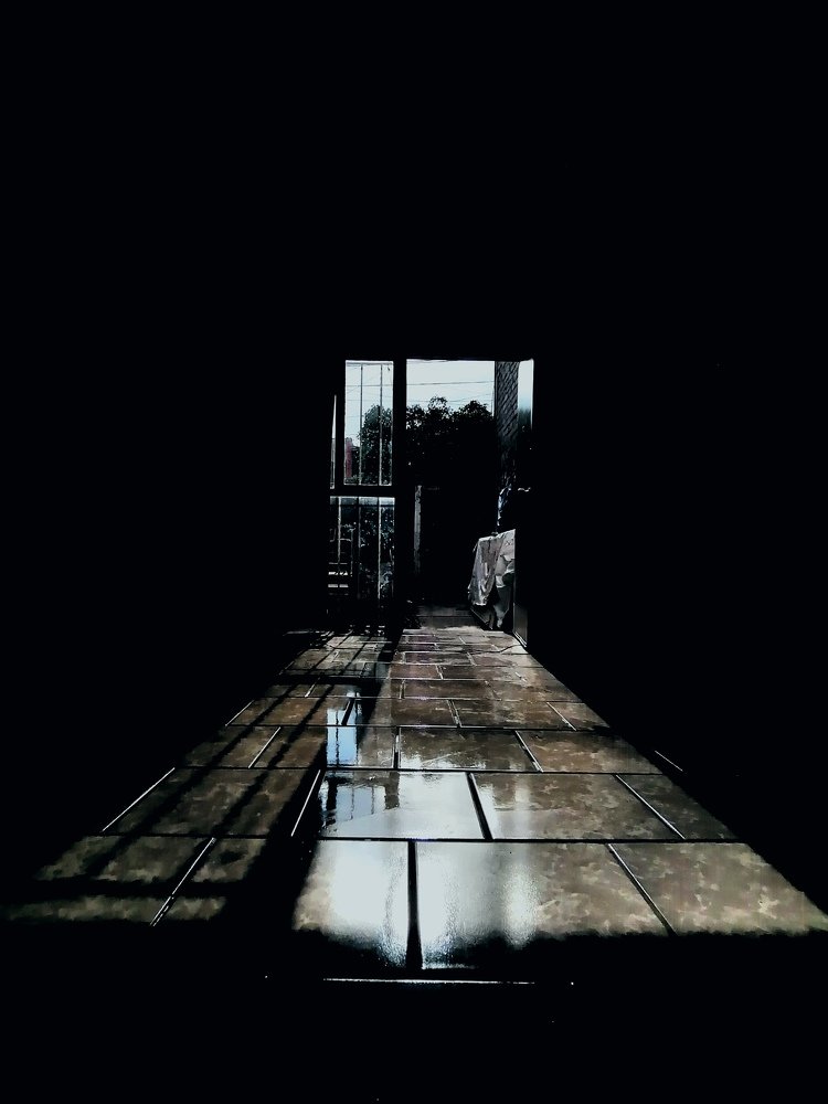 Photograph by Horus Mogollon