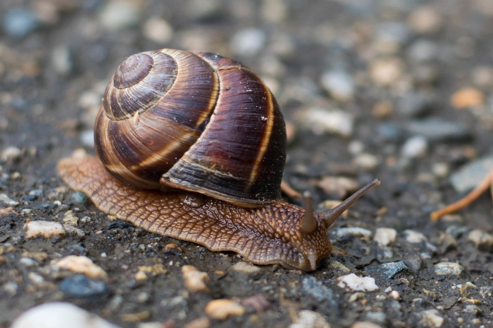 Photograph by Александра Понятовская