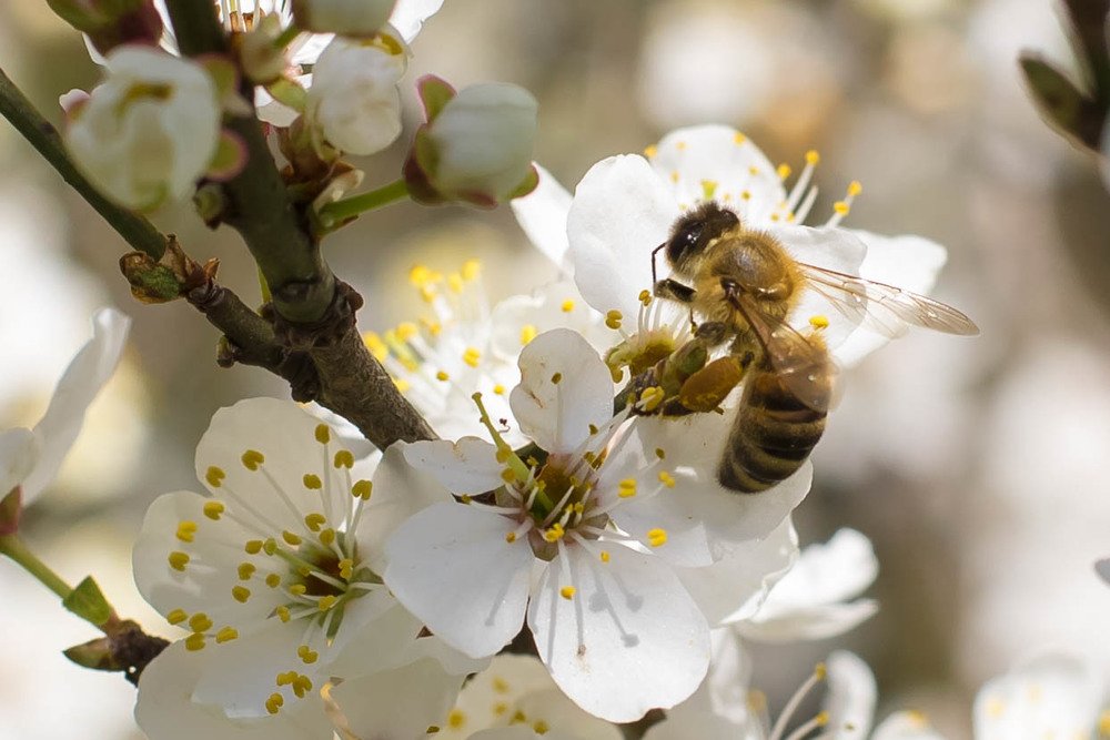 Photograph by Александра Понятовская
