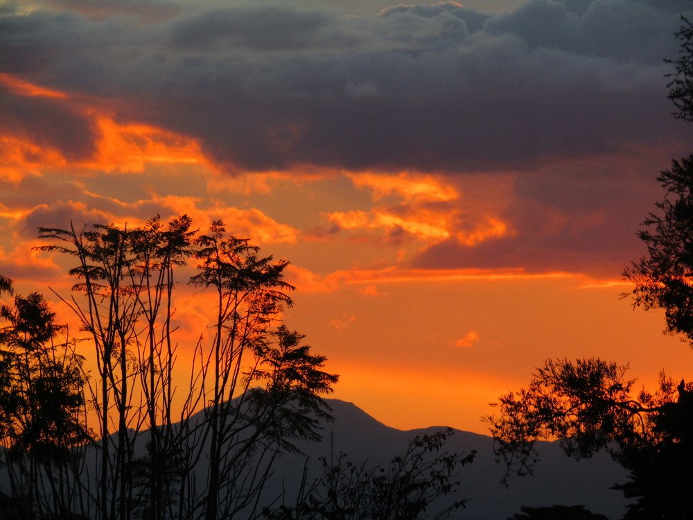 Photo #4368800