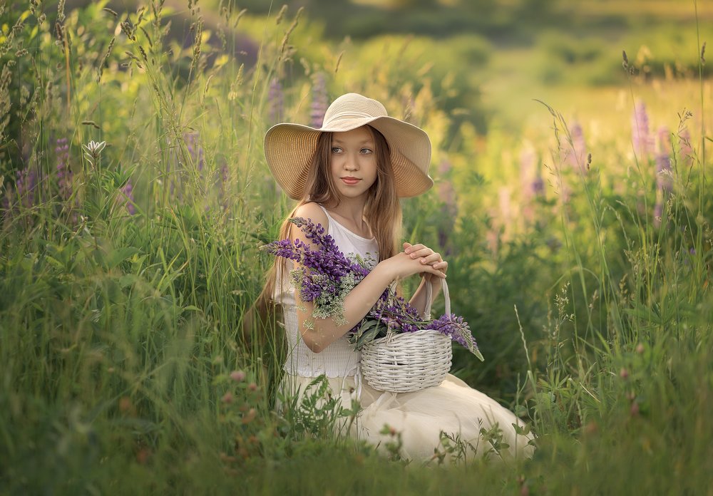 Летняя прогулка