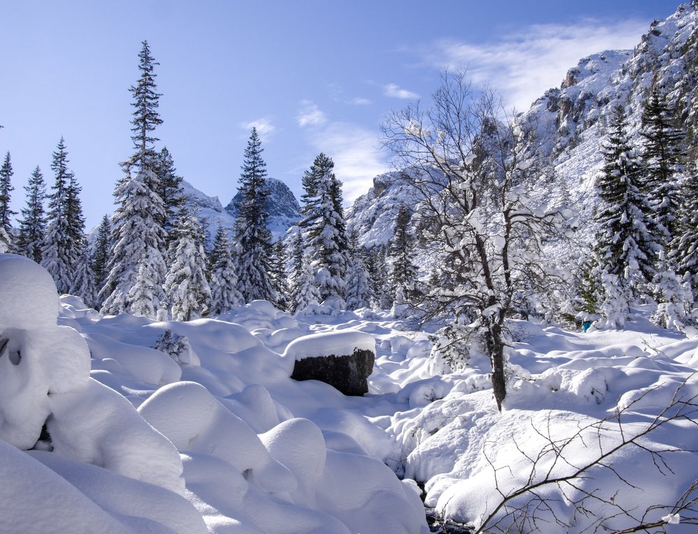 Photograph by Estislav Ploshtakov