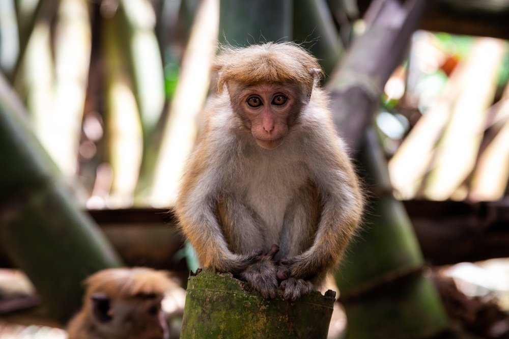 Photograph by Андрей