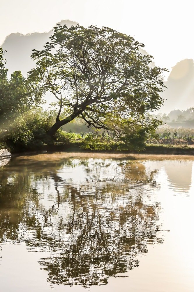 Photograph by Valerii