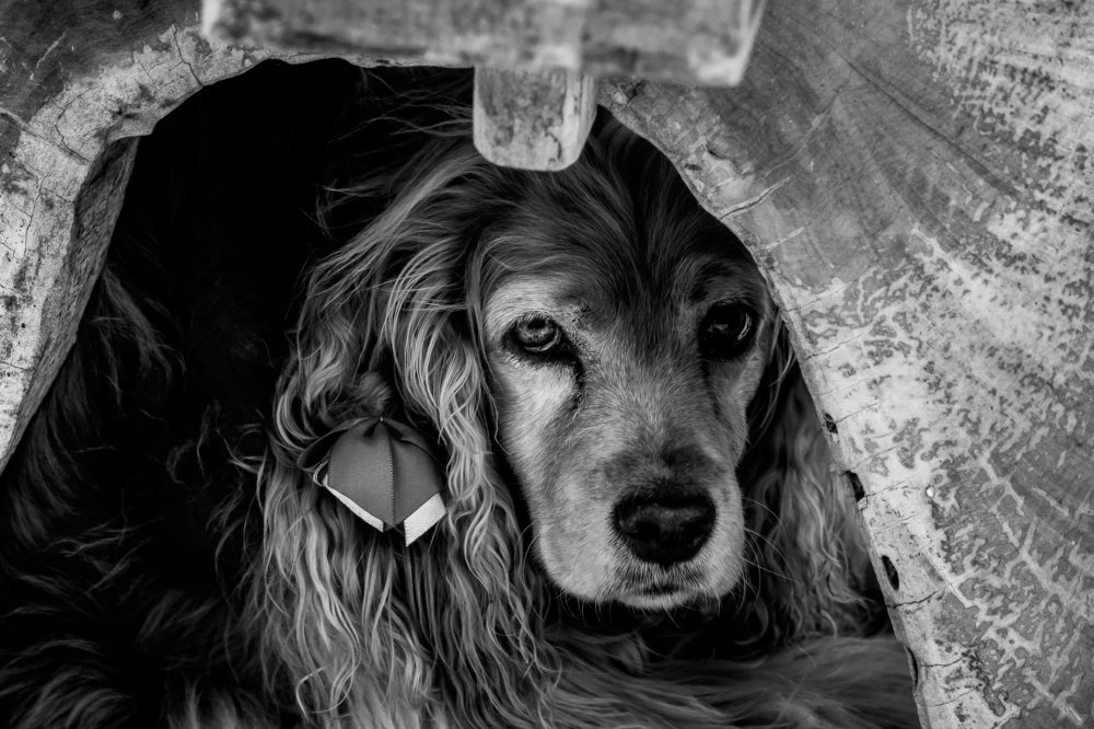 Photograph by Eliane Erdmann