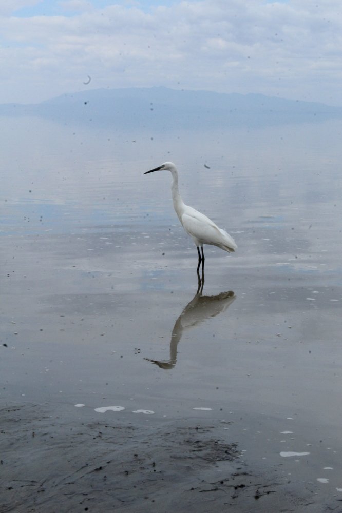 Photograph by Thomas Ntobi