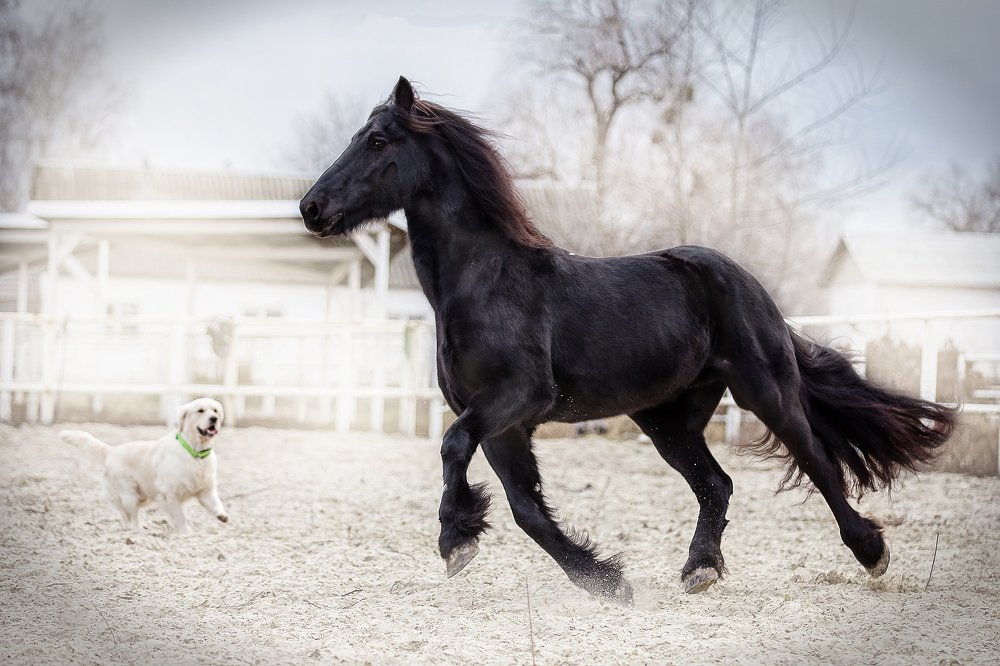 Photograph by Aleksandr Dvernitskiy