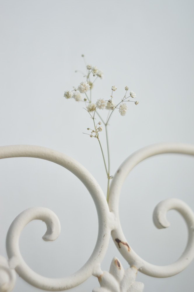 Photograph by Ксения