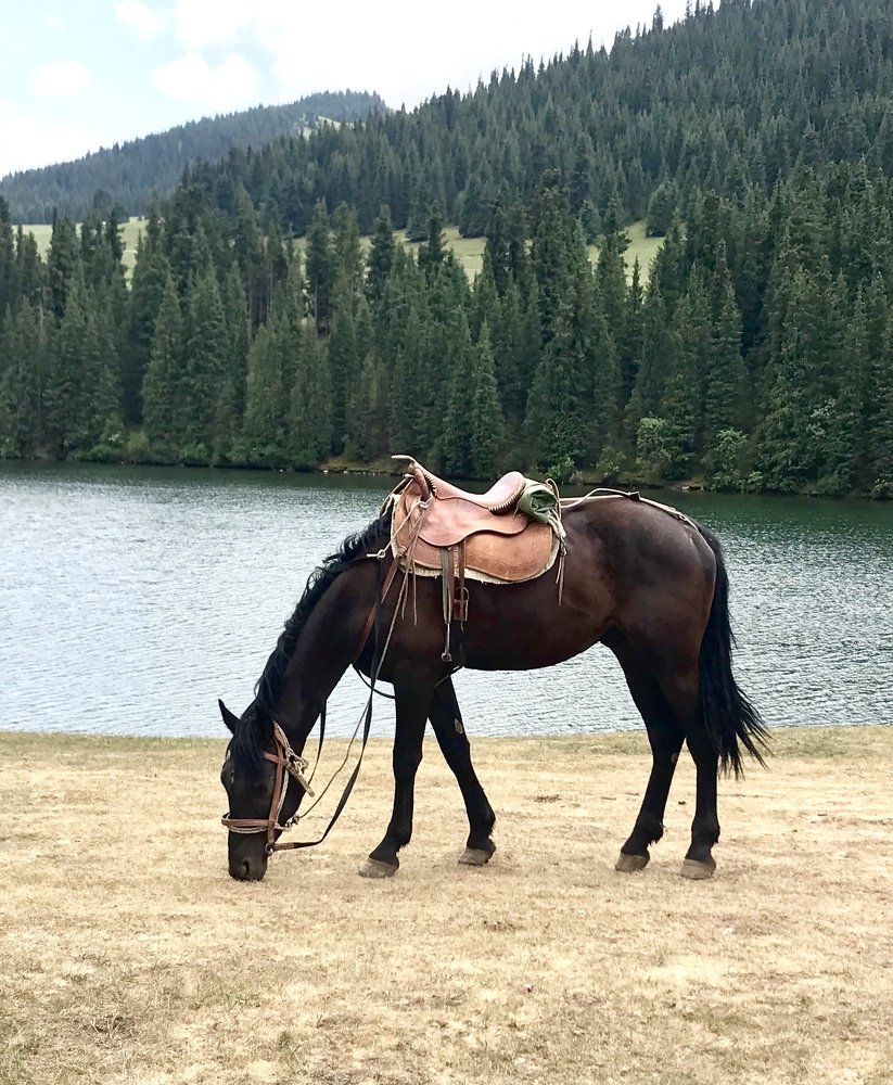 Photograph by Анар Амирова