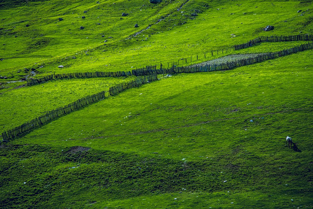 Photograph by Sergey Lexin