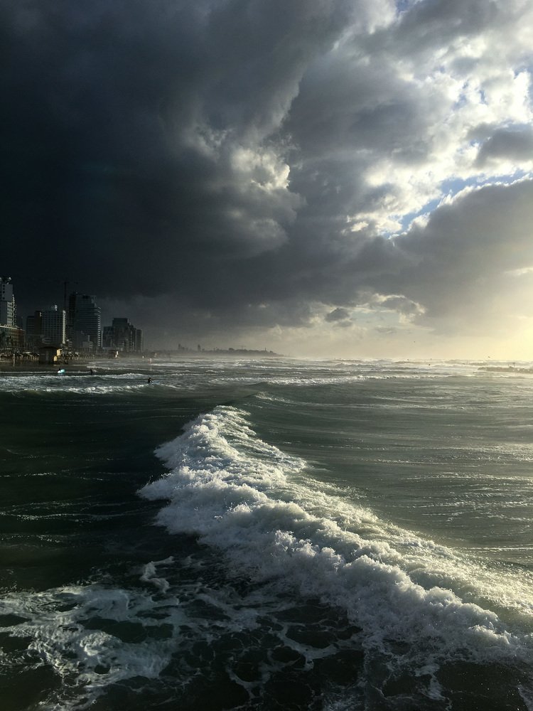 Photograph by Алина Чеснокова