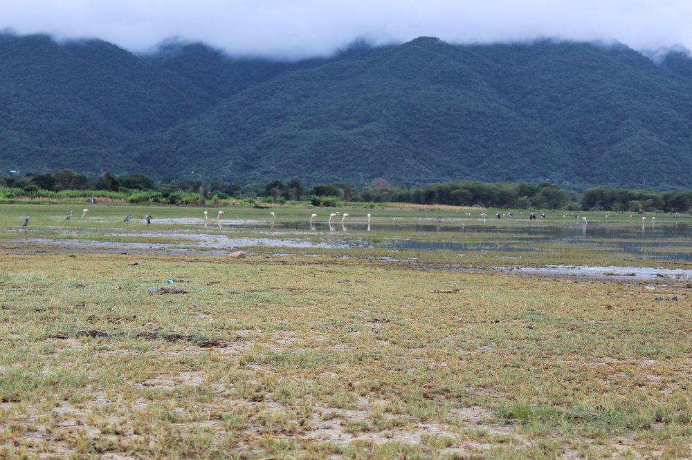 Photograph by Thomas Ntobi