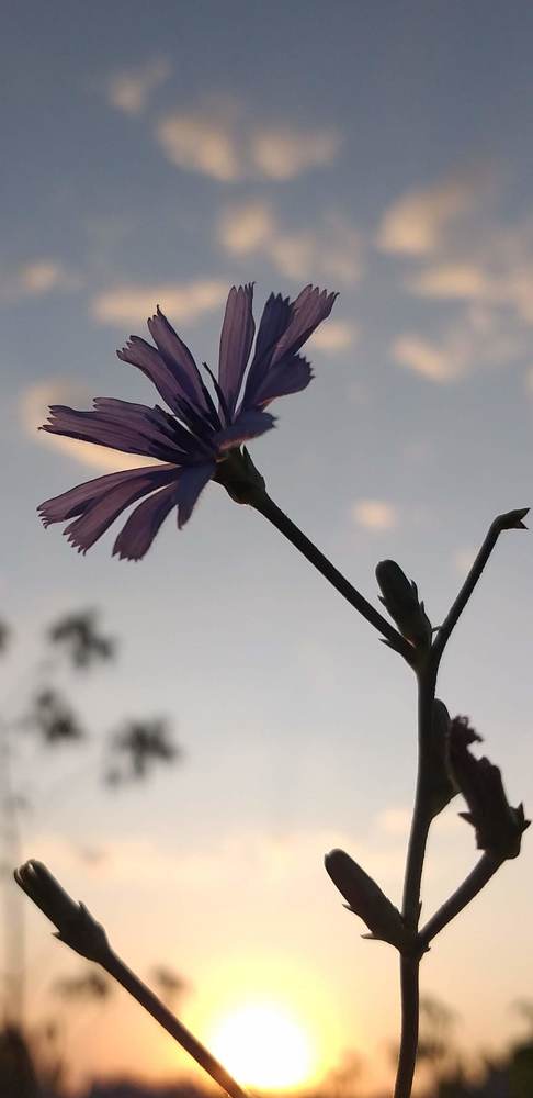 Photograph by Борислав Къчев