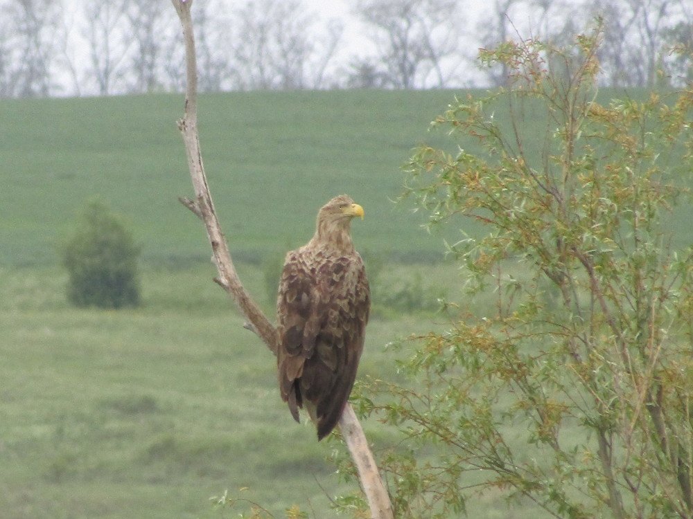 Photograph by Сергей Яценко