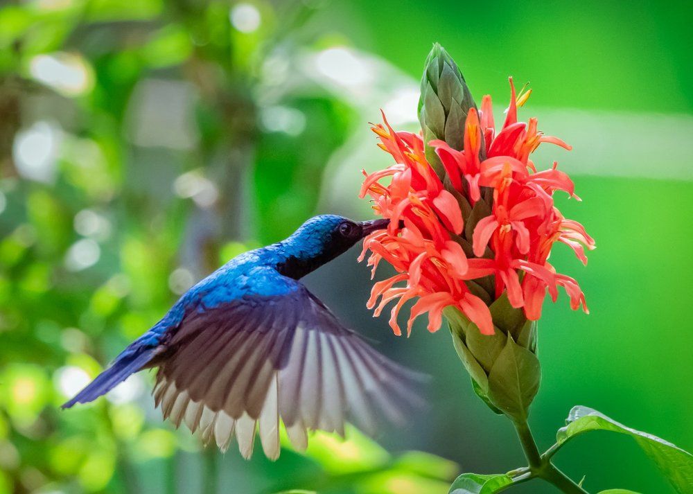 Photograph by Yashwanth Pavanan