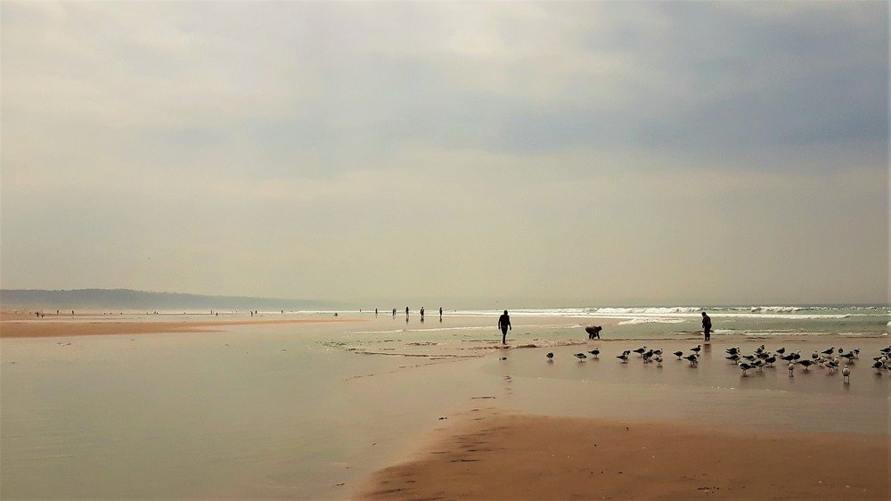 Photograph by João Tomé