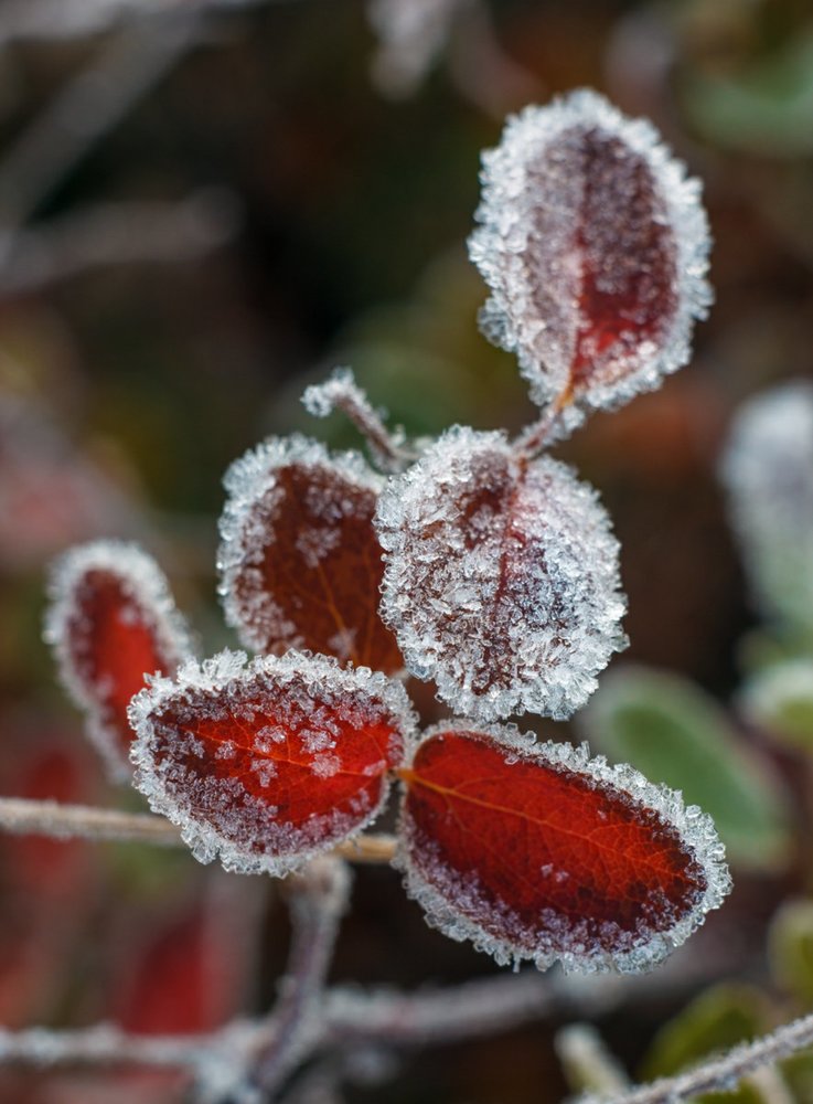 Photograph by София Логинова