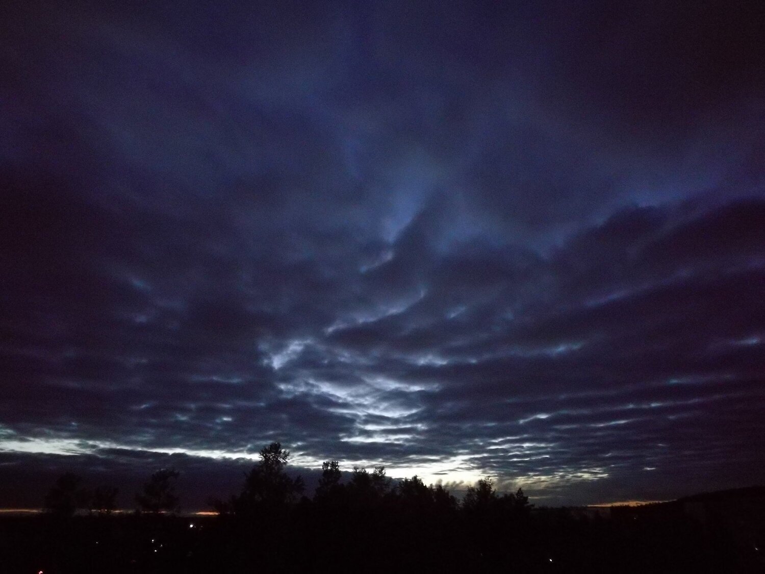 Photo #4369393