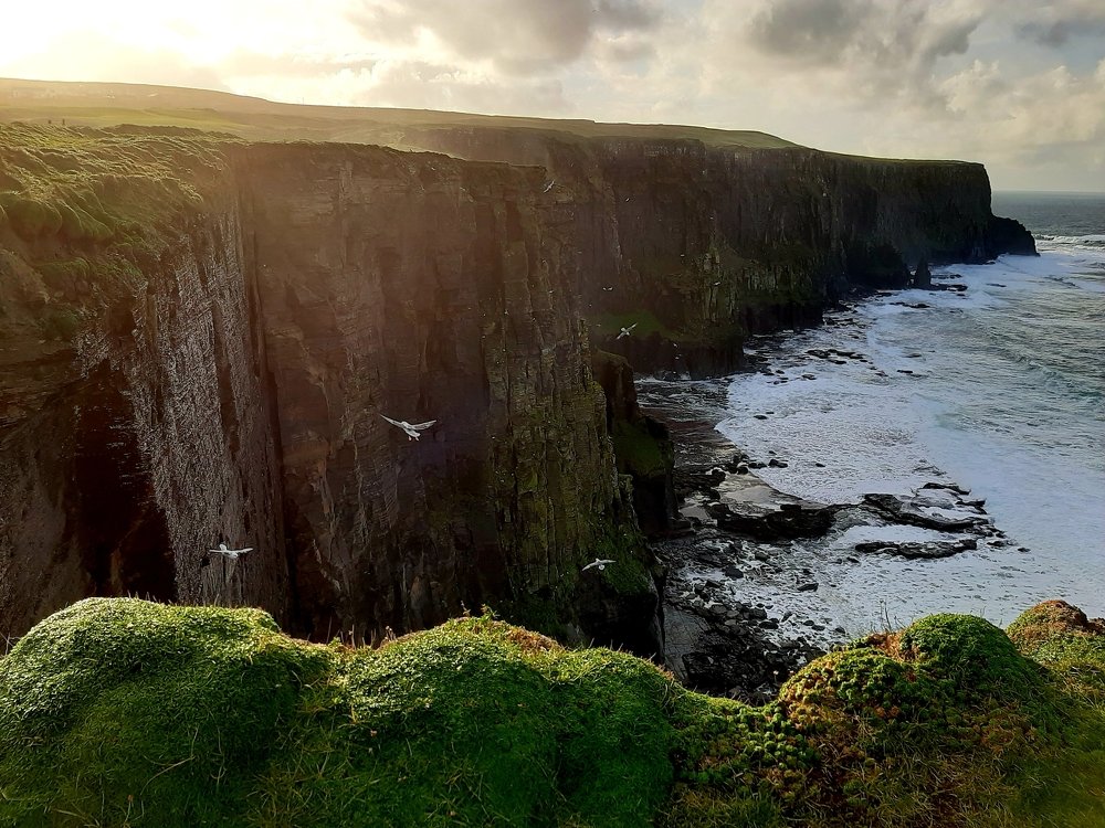 Photograph by Kristina G