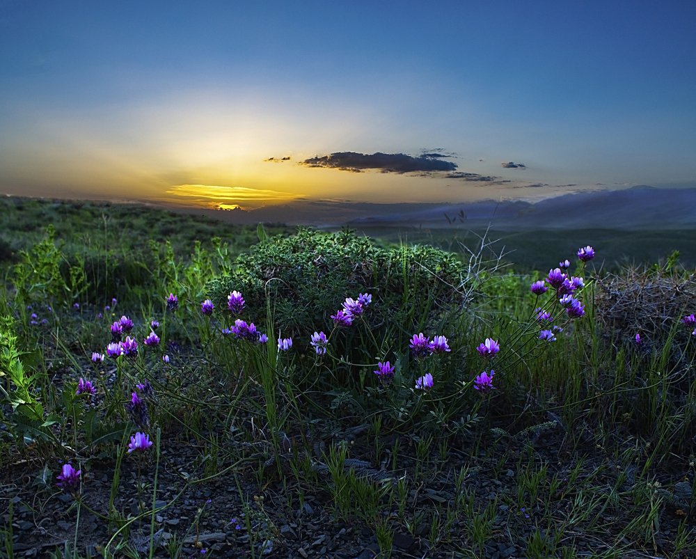 Фотография автора majid arab