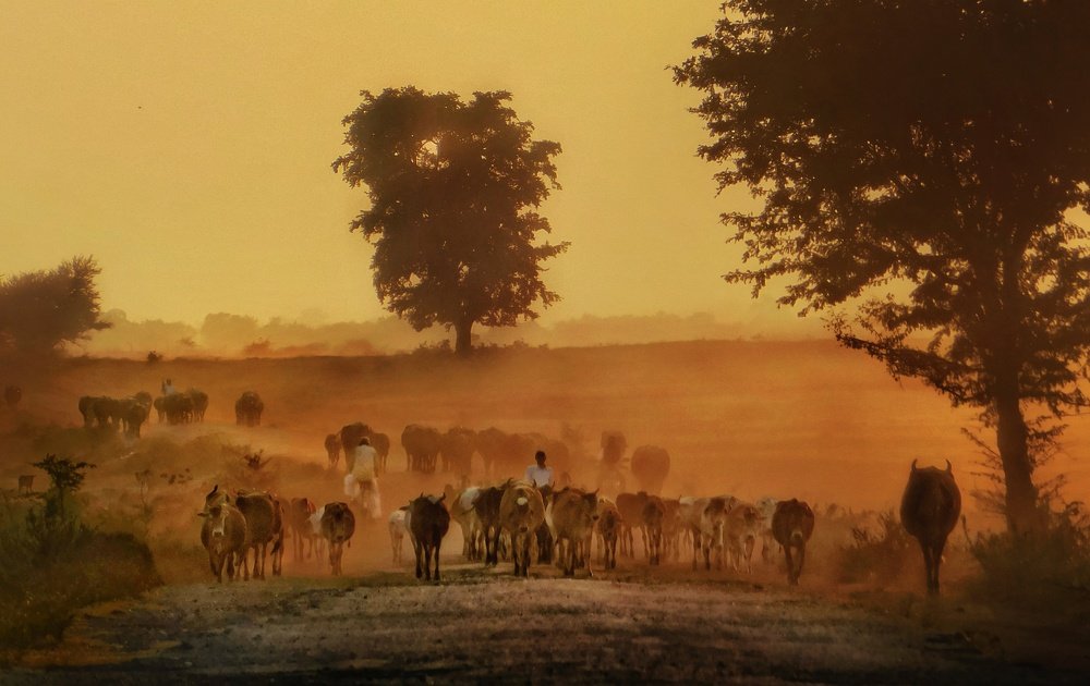 Photograph by Saha Jagannath