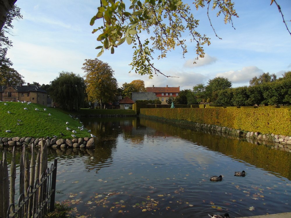 Photograph by SVITLANA