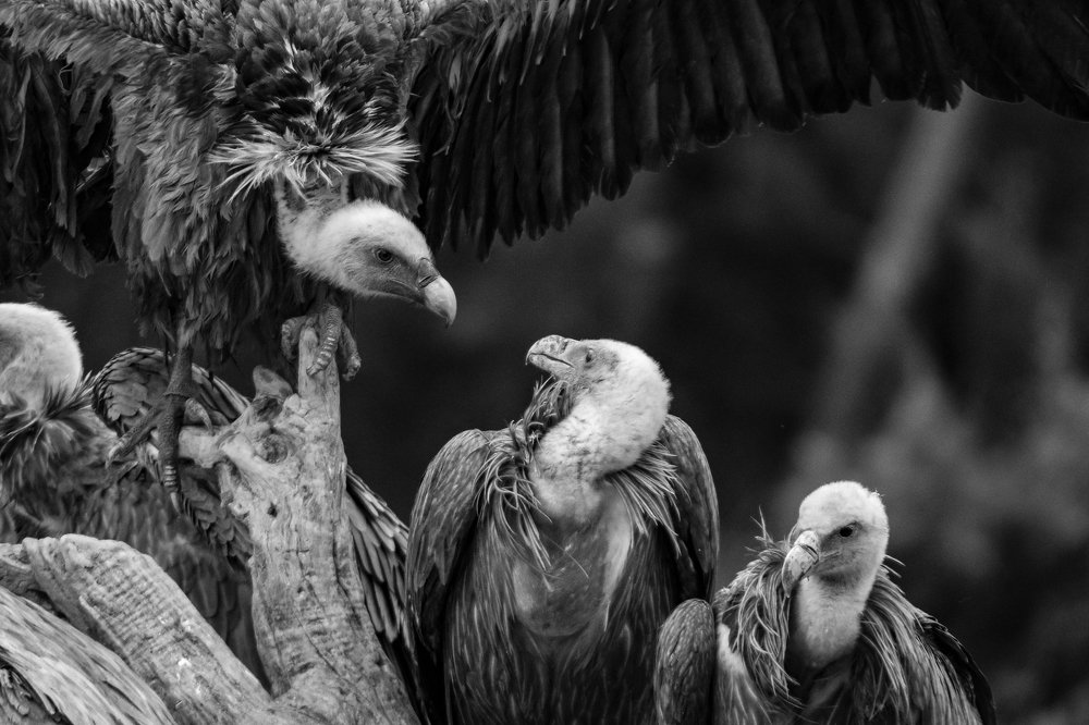 Photograph by Luisa Lynch