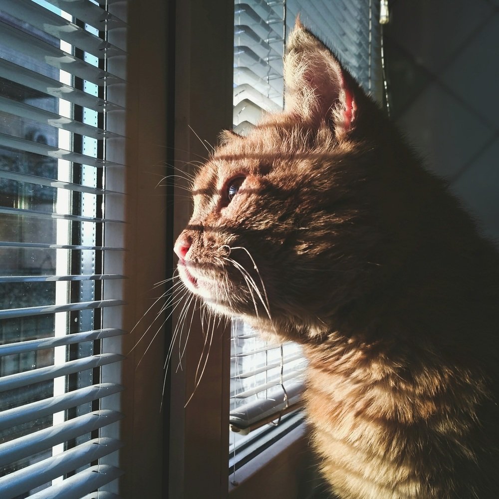 Photograph by Юлія Доманська