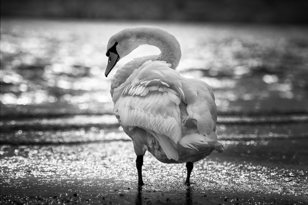 Фотография автора Christina Draper