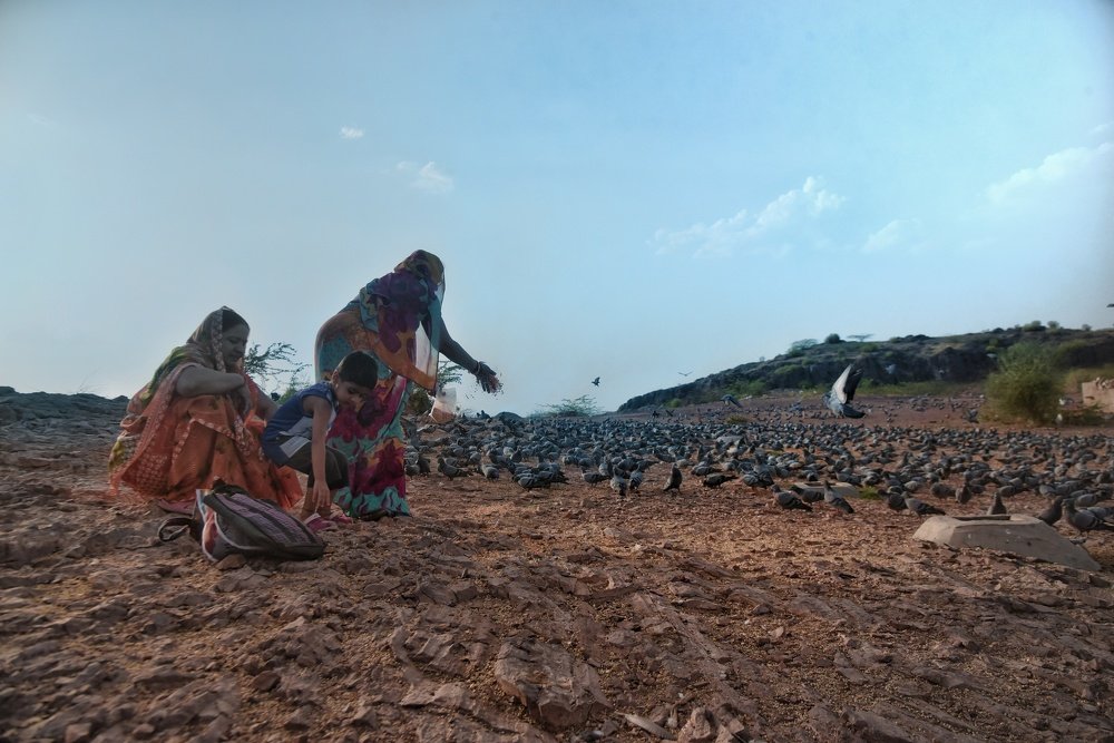 Фотография автора Vikash Mutha