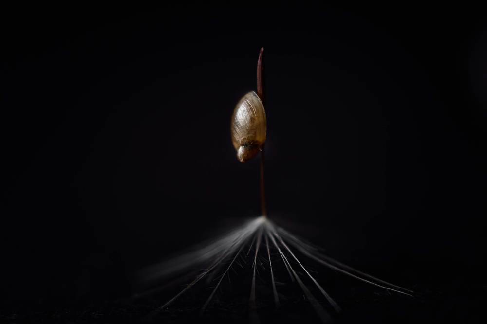 Фотография автора Summerlin