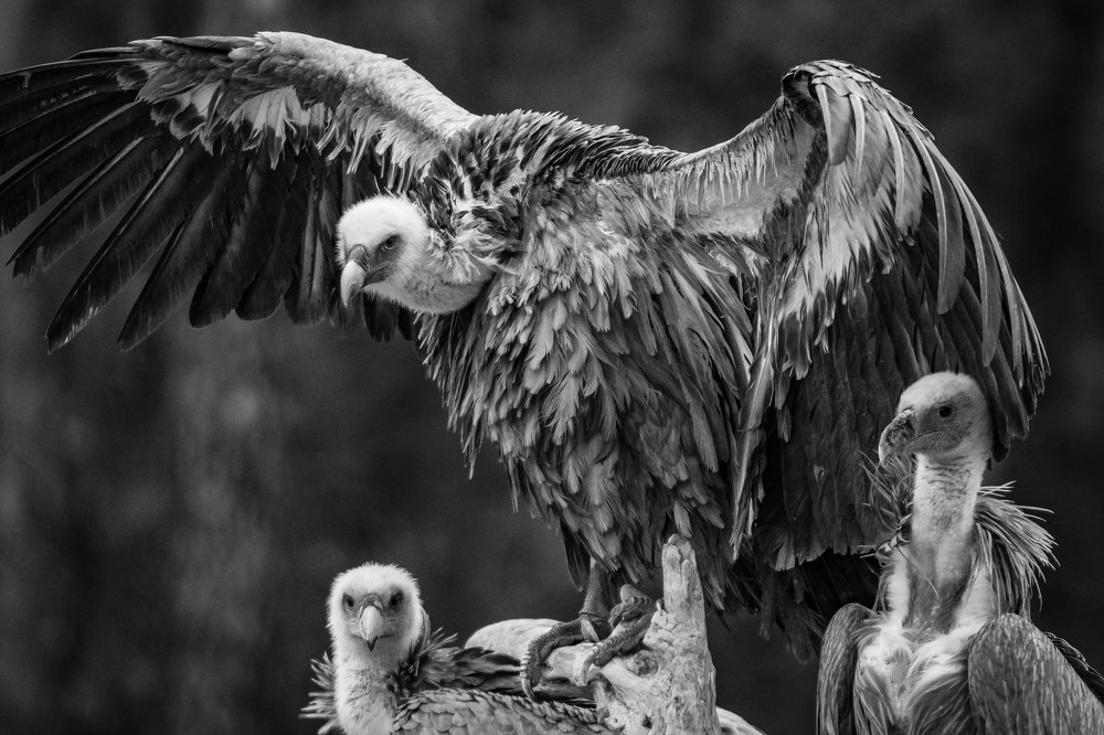 Photograph by Luisa Lynch