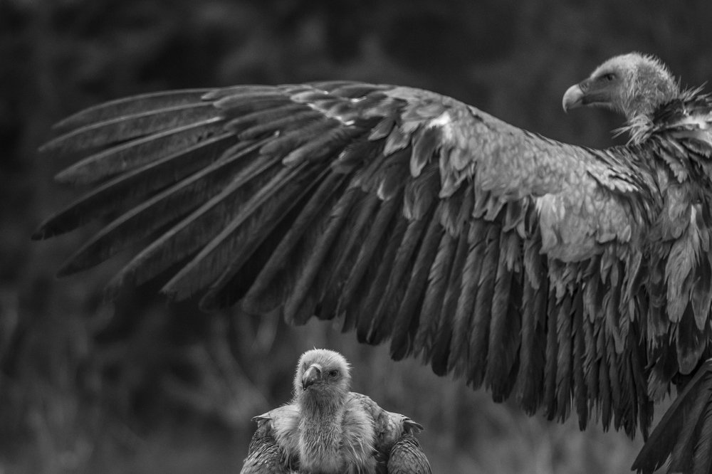 Photograph by Luisa Lynch