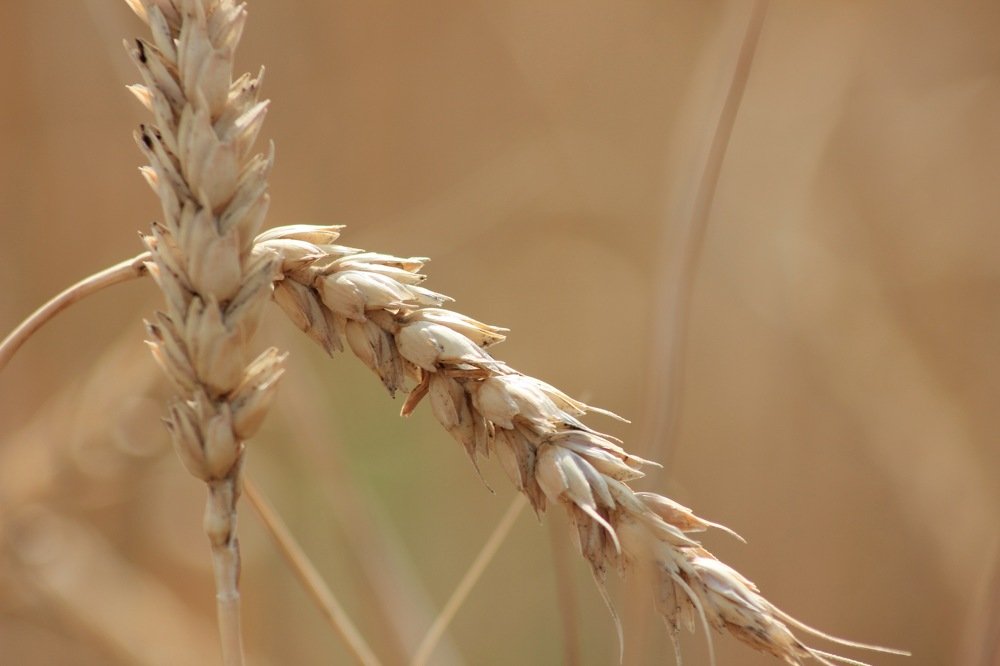 Photograph by Алина Новикова