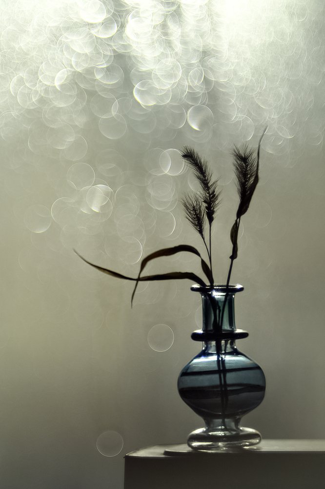 Солнечное настроение