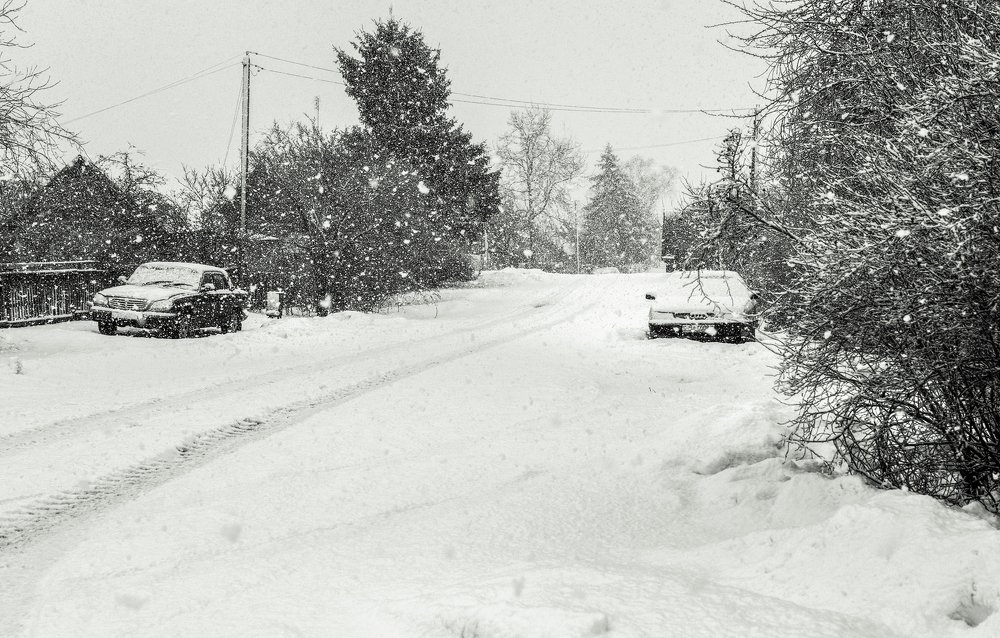 Фотография автора Ольга Бородина