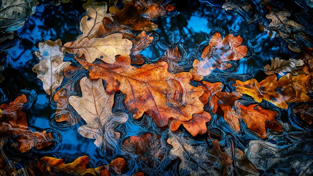 Photograph by Владимир Суходолов